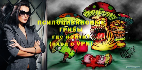 круглые Осинники